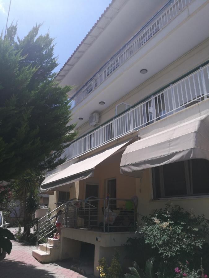 Villa Anna هانيوتي المظهر الخارجي الصورة